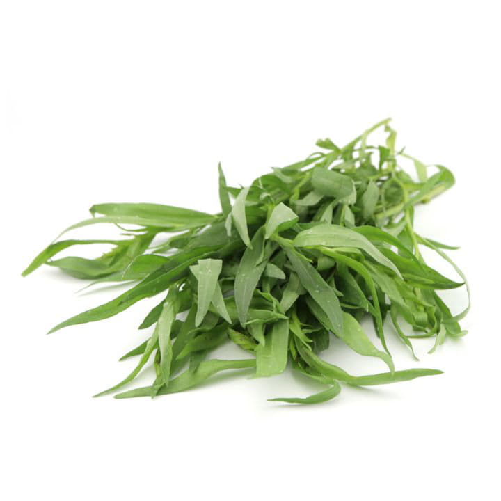 Эстрагон (тархун) Santreyd 8646 - Вид №1