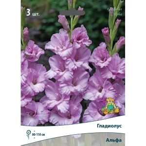 Гладиолус крупноцветковый Альфа луковица 10/12 83596413 STLM-2059325