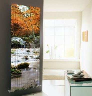 ROSY PICTURE  COLOR PICTURE Collection радиатор Cordivari 48272 - Вид №1