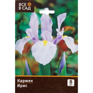 Ирис Кармен 7/8, 8 шт. 11328335 STLM-2050712