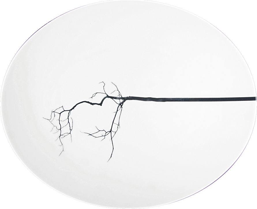 81084 Dibbern Блюдо овальное плоское Dibbern "Чёрный лес" 32см Фарфор костяной 