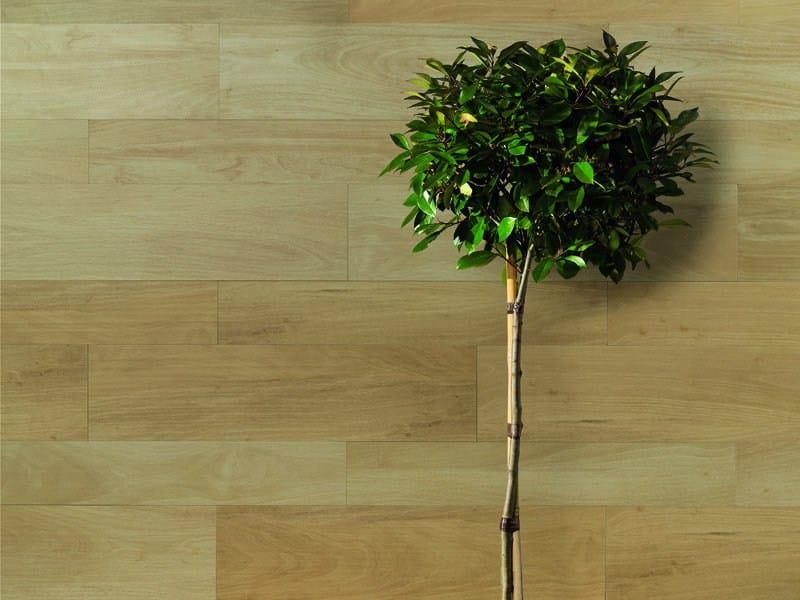 Керамогранит с эффектом дерева FAP ceramiche ARCH-00118640 - Вид №1