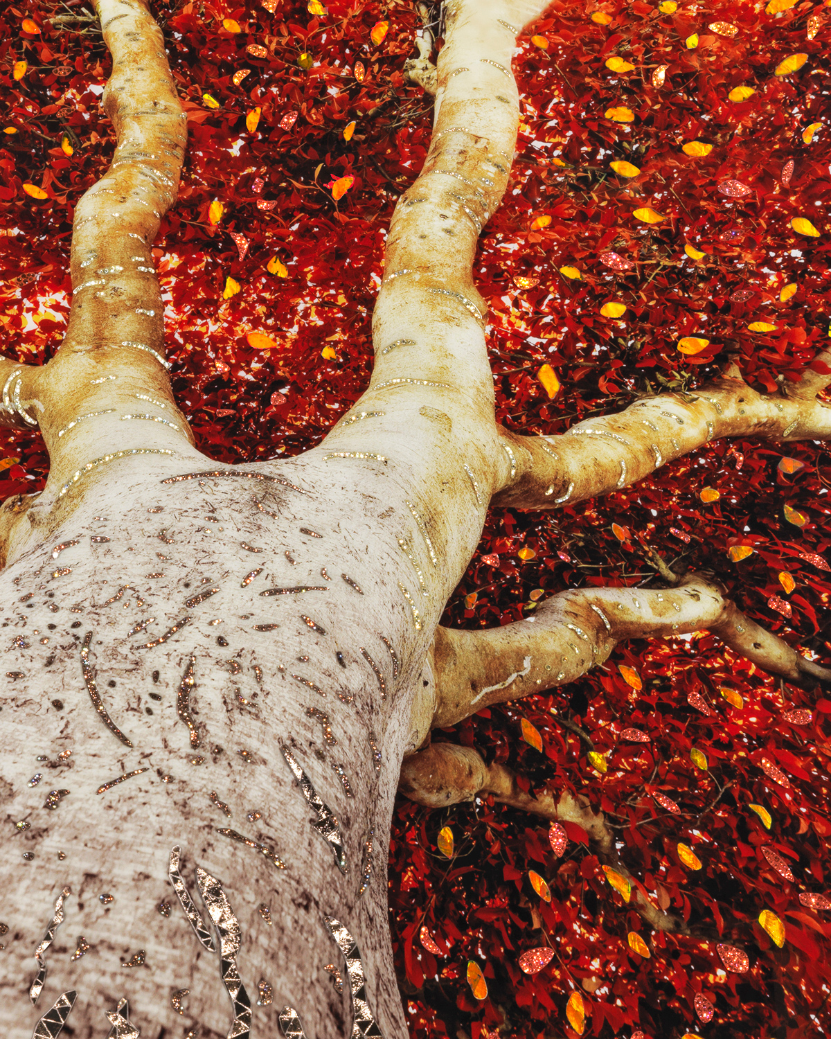 Albero Смешанная техника Visionnaire  - Вид №5