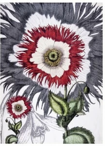 The NapKing Льняное кухонное полотенце Papaver