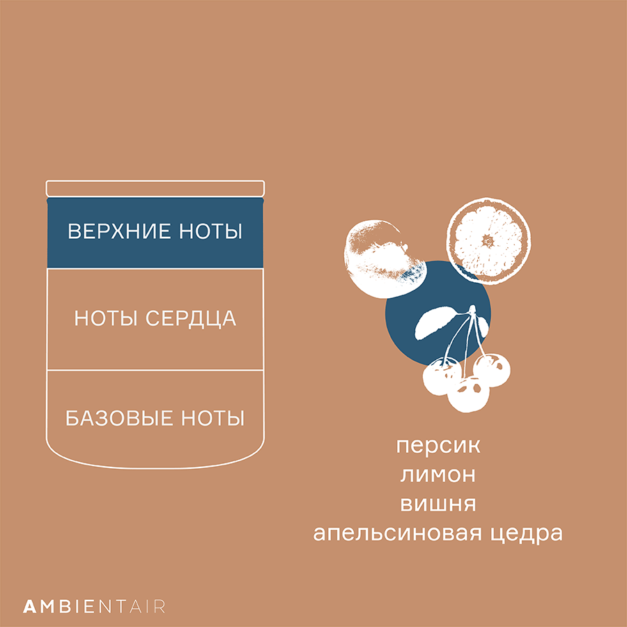 VV401GTTO Свеча ароматическая gifting, Печенье и ягоды, 40 ч Ambientair  - Вид №5