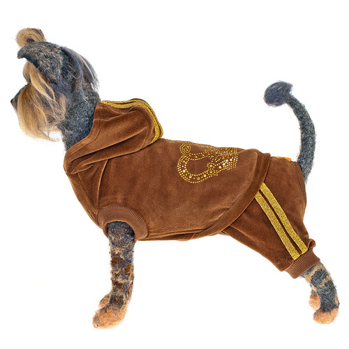 ПР0044500 Комбинезон для собак Гламур велюровый коричневый-2 24см HAPPY PUPPY 
