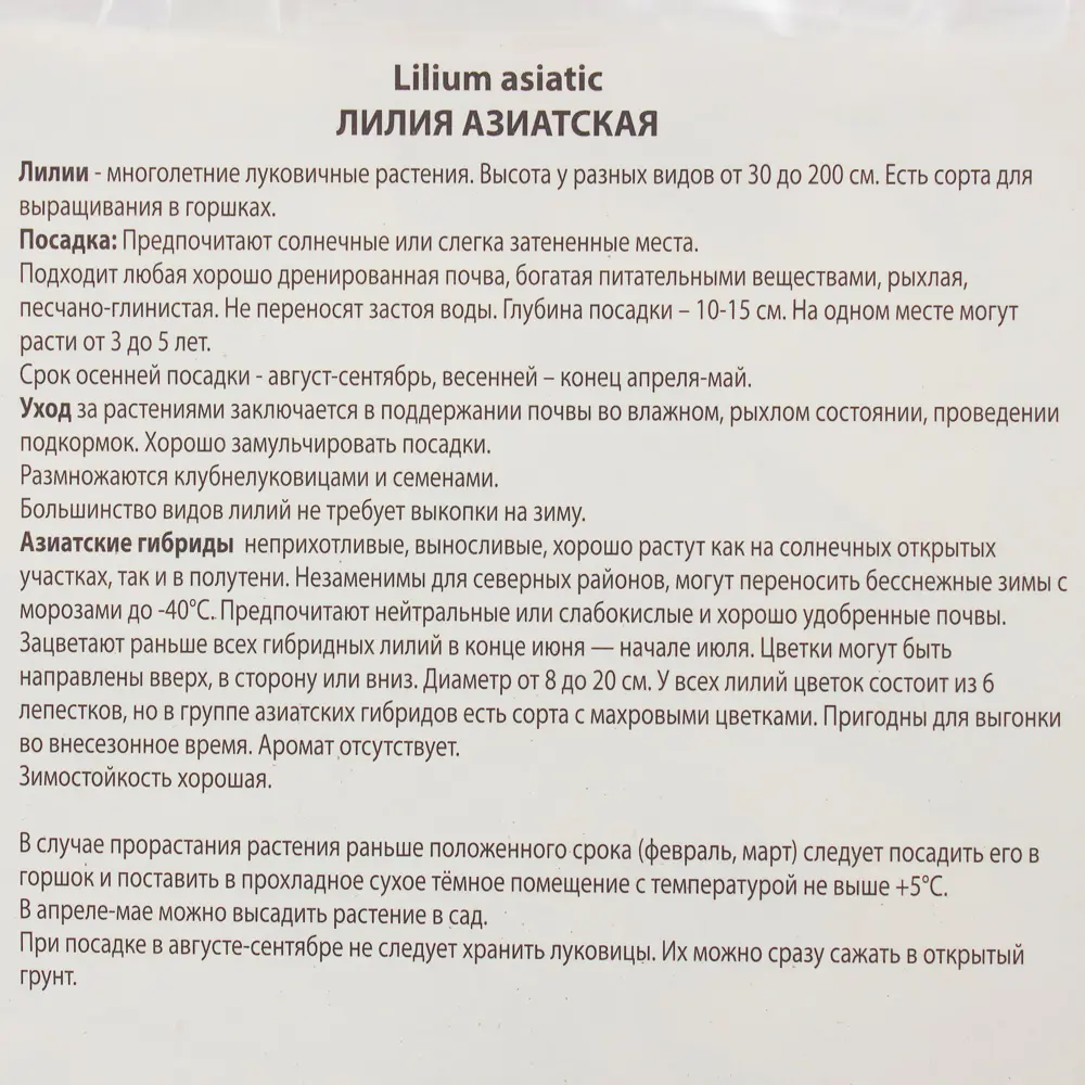 Лилия азиатская Танго «Патриция Прайд» 81945464 STLM-2026299 Santreyd  - Вид №2
