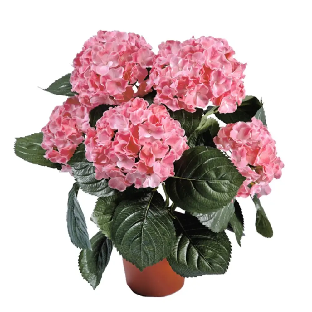Гортензия микс ø11 h25 см 83738777 STLM-2036015 Santreyd 