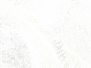 Equipo DRT Двусторонняя полиэфирная ткань для штор Musas