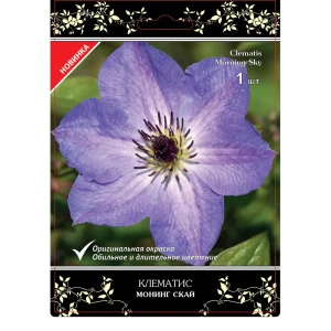 Клематис Монинг Скай Люкс ø12 h17 см 83738692 STLM-2004600