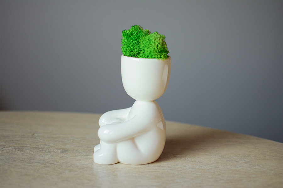 ЕСO-1-19 Набор для выращивания eco «тихоня» Экочеловеки  - Вид №1