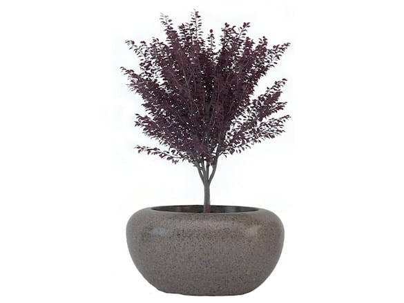 Вазон Bellitalia VENERE ARCH-00090127 - Вид №7