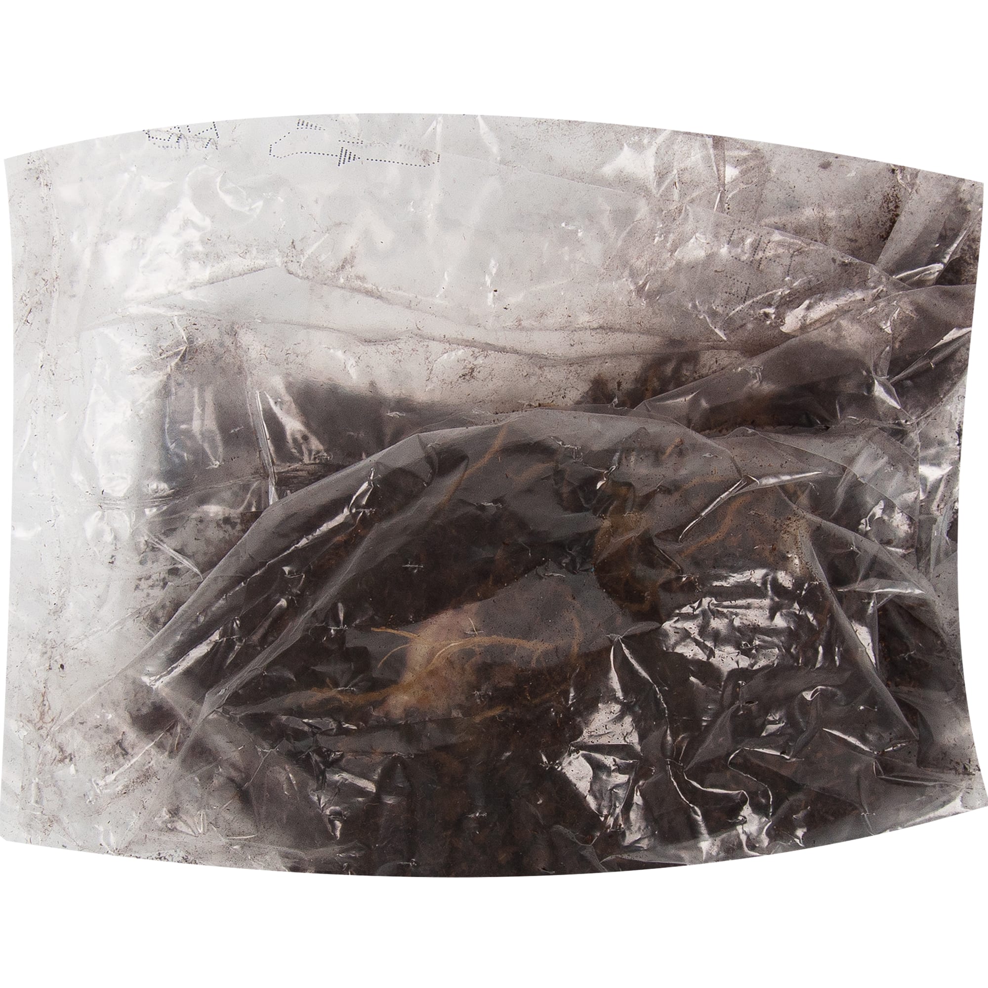 83760994 Лилия гибридная Салмон луковица 10/12 Santreyd 