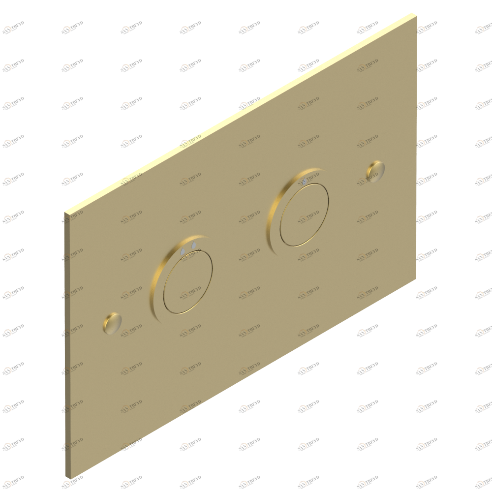 G00-219SC WC Flush Plate compatible with Geberit frame Sigma UP320 (contemporary model) Thg-paris прочие артикулы THG Покрытие PVD матовый золотистый G00-219SC CAT.F