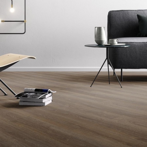 Виниловый ламинат Moduleo Transform Verdon 24885 Дуб (Гладкая) 1320х196 мм 2801000027 - Вид №2