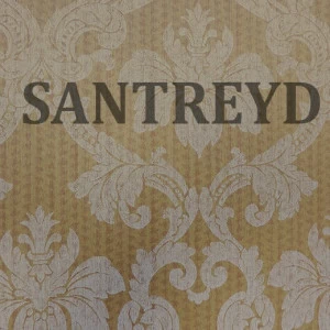 79493 Обои Rasch Selected