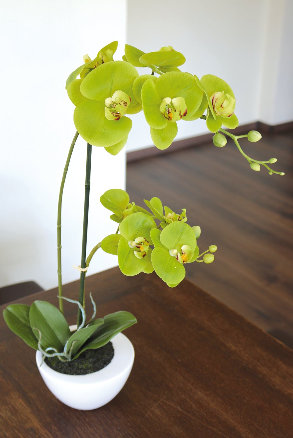 2606 883 a3 Пластиковая орхидея Phalaenopsis, горшечная, 55 см, real touch soft, зеленая H-andreas 