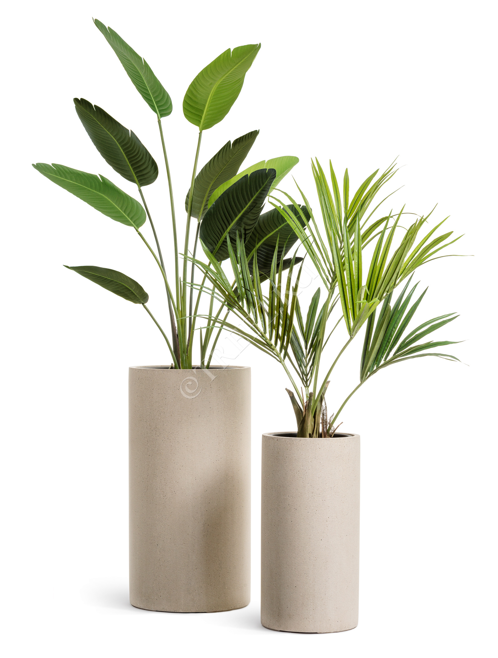 41.3320-02-029-BE-60 Кашпо  Effectory - серия Beton - Высокий цилиндр - Белый песок Цветочная коллекция  - Вид №5