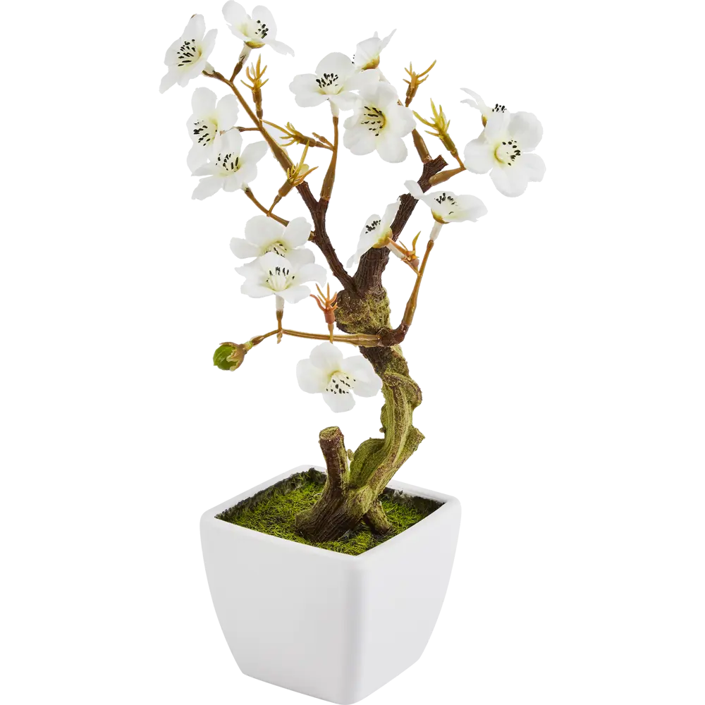 Декоративное растение Atmosphera Вишня 18x18x26 см 87890830 STLM-2002969 