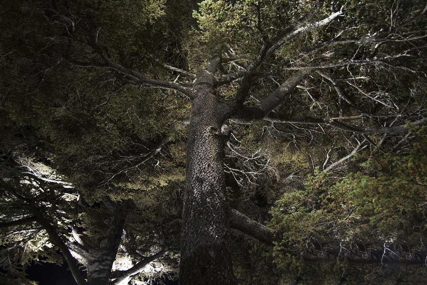 8815863 Проектор Platek SPRING Proiettore  SPRING Floodlight - 1 COB 4000K 44°  - Вид №3