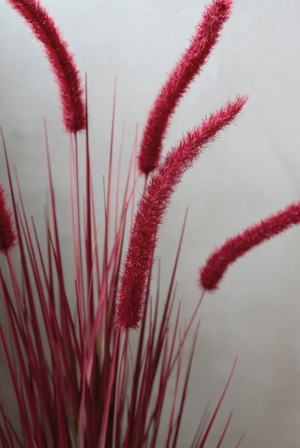 4868 498 a3 Искусственный пучок травы 'Chinese fountain grass' в горшке, 90 см, бордово-зеленый H-andreas  - Вид №10