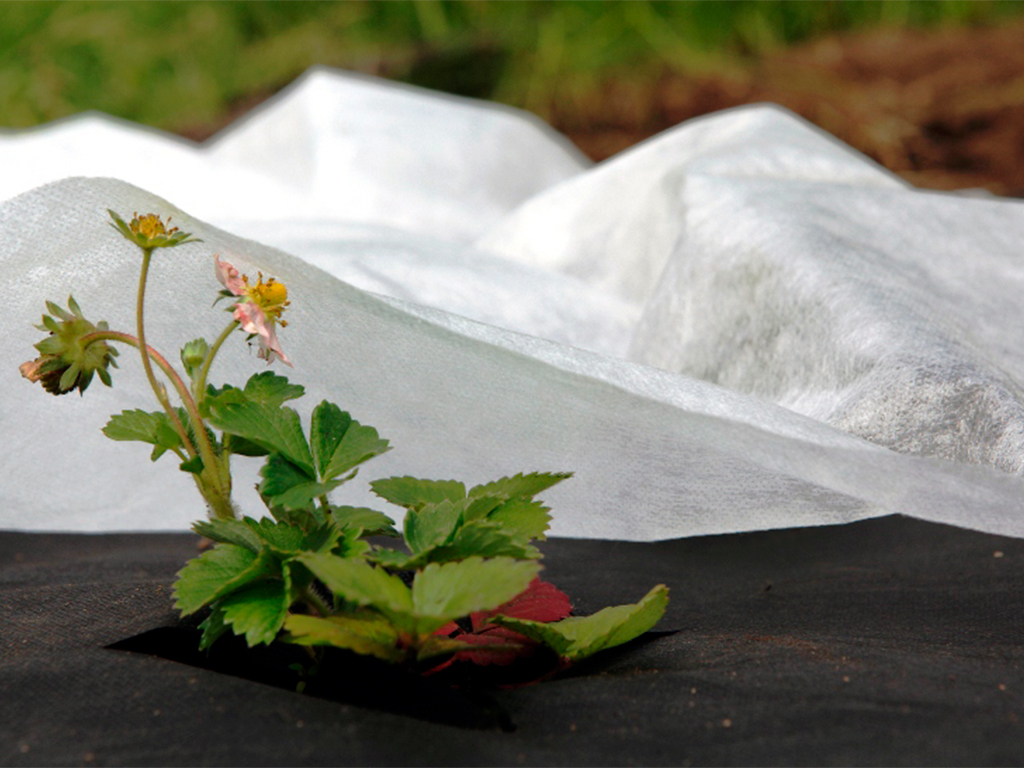 Геотекстиль 150 Строительный и садовый 1,6м x 25м ГеоПластБорд GPBST-108 - Вид №9