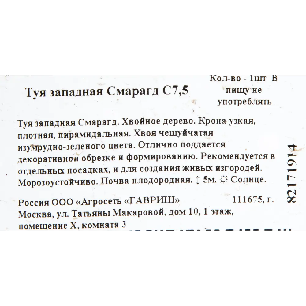 Туя западная «Смарагд» C7.5 82171914 STLM-2035518 ГАВРИШ  - Вид №1
