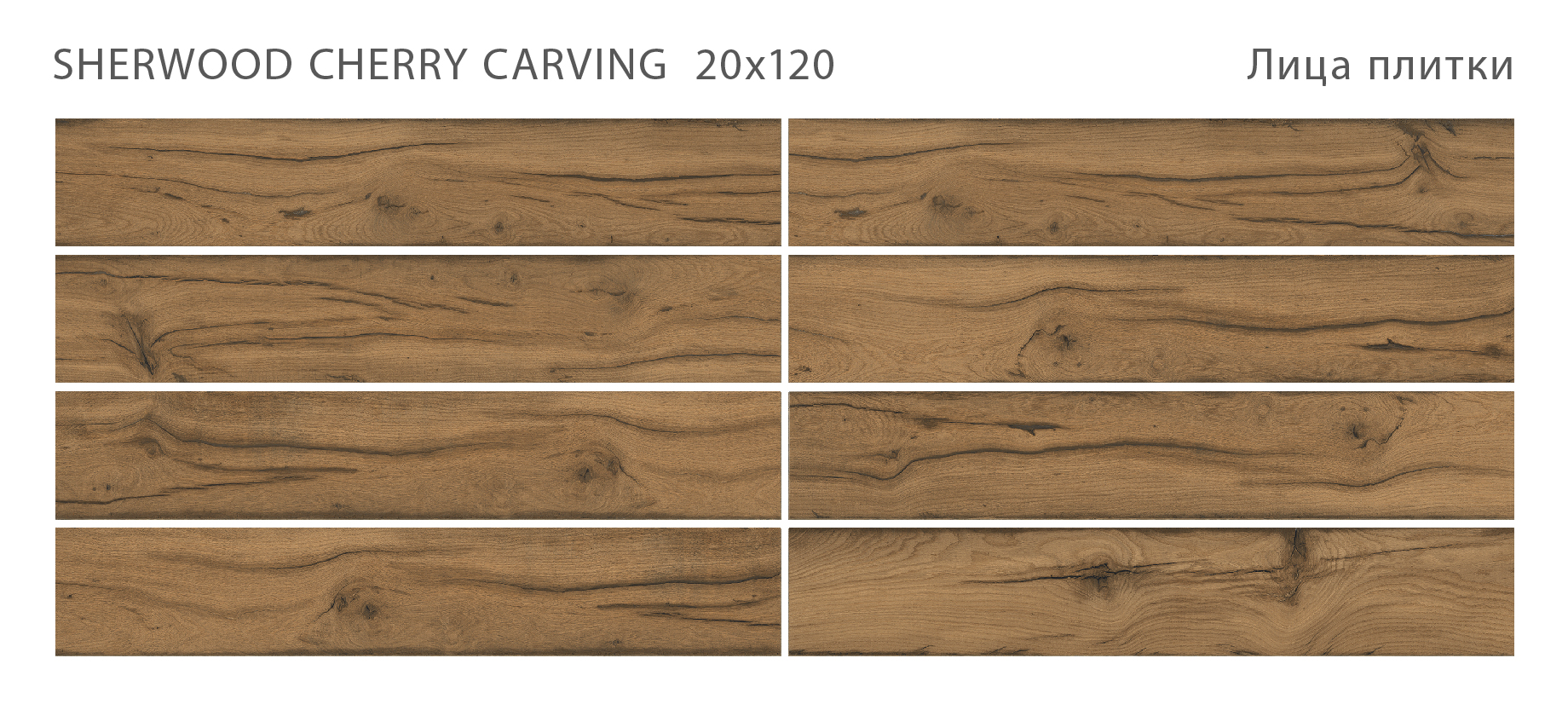 STAROWOOD Sherwood — Элегантность натурального дерева STP-ST547 INCOLOR - Вид №1