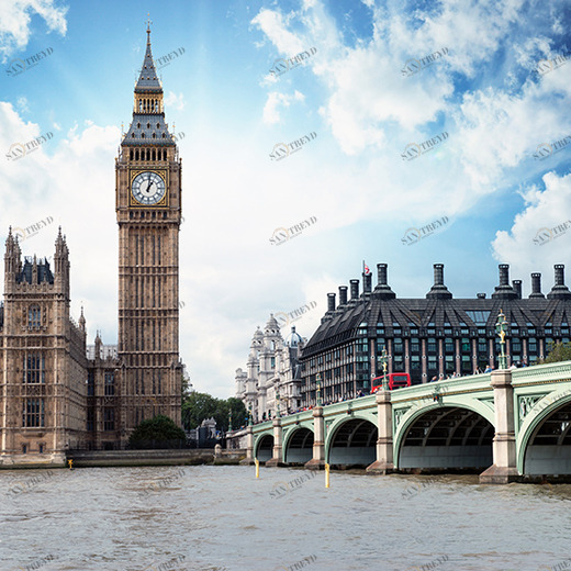 C1-302 Фотообои DIVINO Collection C 1.47х2 м C1302